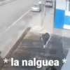 Animados GG 10