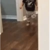 Reações e memes 🌟 8