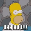HOMER SIMPSON 💛 13