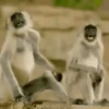 Funny Memes 6