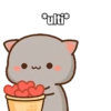Peach Cat (4) 12