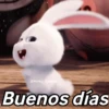 🌈✨ Conejito Snowball ☁️🐰 9