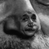 Animated Memes 14