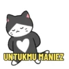 Kucing Kiyowo 5