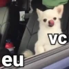 FIGURINHAS PRO ZAP 🤪😆 8