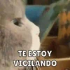 Memes pt.3 5