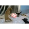 Gatos animados 3 9