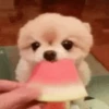 🌈Cute Animals🌸✨ 13
