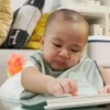 Cipung abubu gemes 16