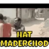 Daily memes 5