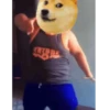 Viral Gif 7