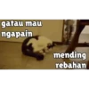 Random cute cat💕 6