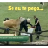 A Fazenda 8