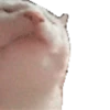 REAÇÕES 10