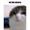 Funny Animated 13