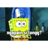 Squarepants 11