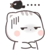 Kucing 1 18