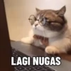 Kucing Gemoy 9