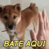Memes de pets 7