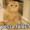 RESPOSTAS ANIMADAS PRA VC 8