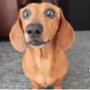 REAÇÕES PRA SEMANA 9