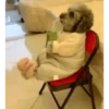 Peyitos Animados🐶💫 7