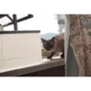 Gatos animados 3 15