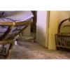 Gatos animados 3 10