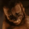 Animales Funny🌈⭐ 11