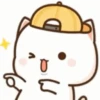 Peach Cat Santuy 6