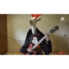 Monkey 18