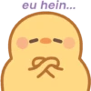 Patinho Animado 12
