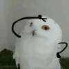Animados Random 7