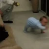 Funny Babies 6