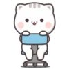 Kucing 1 28