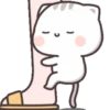 Kucing 1 27