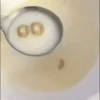 Animados GG 12