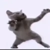 Beijo de gato 15