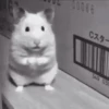 Random Mov 2 7