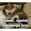 Hadeh 6
