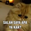Kucing Gemoy 6