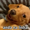 MANDA ESSAS AQUI 🤟🏼🤪 5