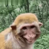 Funny Memes 10