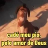Memes & reações 13