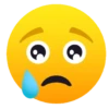 Emoji 12