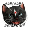Kucing Gemoy <3 6