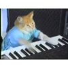 Gatos animados 3 7
