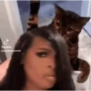 Funny meme 6