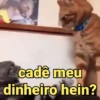 Misturadinhox 5