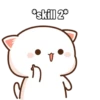 Peach Cat (4) 11